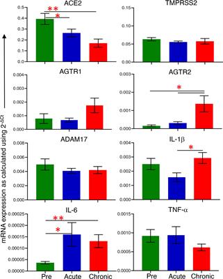 Simian Immunodeficiency Virus Infection Mediated Changes in Jejunum and Peripheral SARS-CoV-2 Receptor ACE2 and Associated Proteins or Genes in Rhesus Macaques